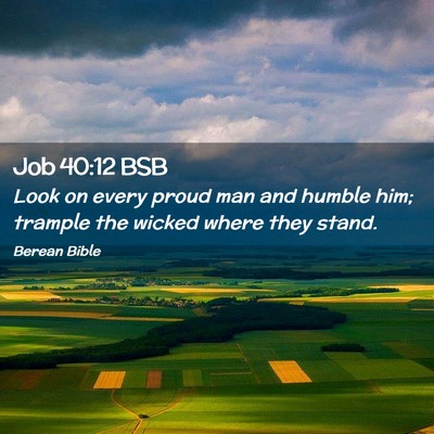 Picture 02 - Job 40:12 BSB - Look on every proud man and humble him; trample - Bible Verse Picture
