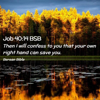 Picture 02 - Job 40:14 BSB - Then I will confess to you that your own right - Bible Verse Picture