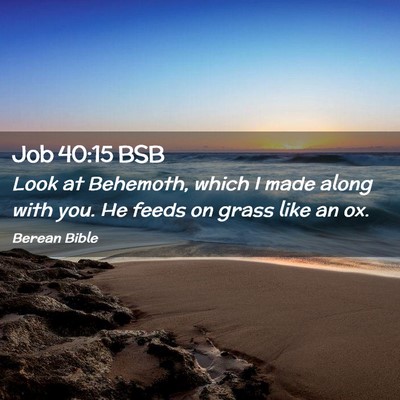 Picture 02 - Job 40:15 BSB - Look at Behemoth, which I made along with you. He - Bible Verse Picture