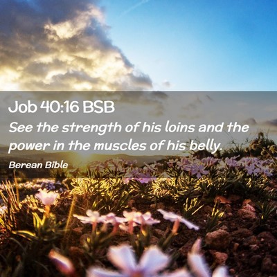 Picture 02 - Job 40:16 BSB - See the strength of his loins and the power in - Bible Verse Picture