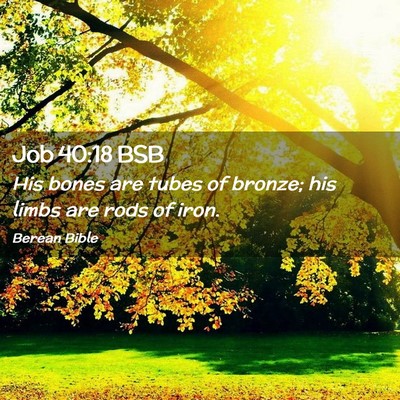 Picture 02 - Job 40:18 BSB - His bones are tubes of bronze; his limbs are rods - Bible Verse Picture