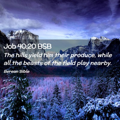 Picture 02 - Job 40:20 BSB - The hills yield him their produce, while all the - Bible Verse Picture