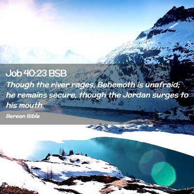 Picture 02 - Job 40:23 BSB - Though the river rages, Behemoth is unafraid; he - Bible Verse Picture