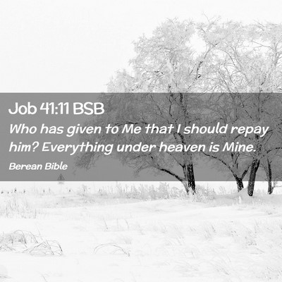 Picture 02 - Job 41:11 BSB - Who has given to Me that I should repay him? - Bible Verse Picture