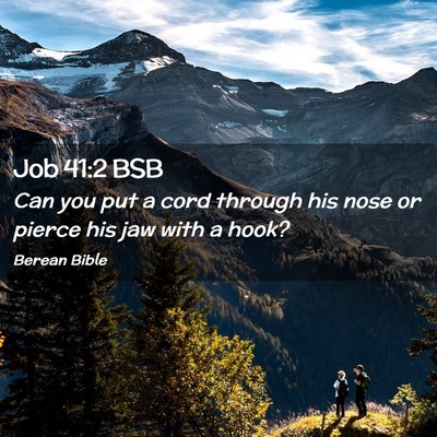 Picture 02 - Job 41:2 BSB - Can you put a cord through his nose or pierce his - Bible Verse Picture