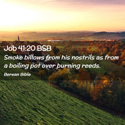 Picture 02 - Job 41:20 BSB - Smoke billows from his nostrils as from a boiling - Bible Verse Picture