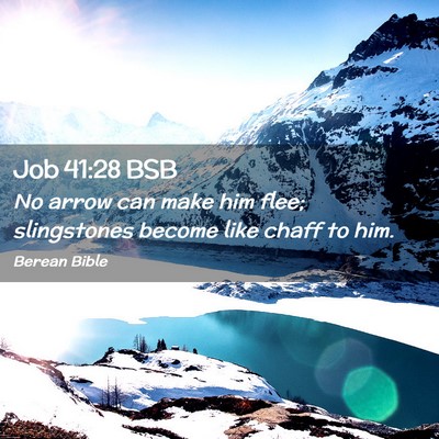 Picture 02 - Job 41:28 BSB - No arrow can make him flee; slingstones become - Bible Verse Picture