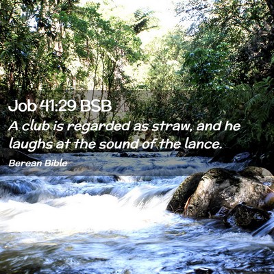 Picture 02 - Job 41:29 BSB - A club is regarded as straw, and he laughs at the - Bible Verse Picture
