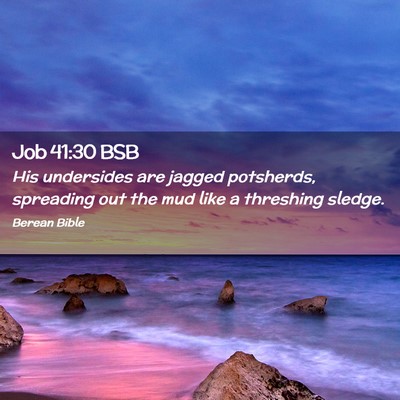 Picture 02 - Job 41:30 BSB - His undersides are jagged potsherds, spreading - Bible Verse Picture