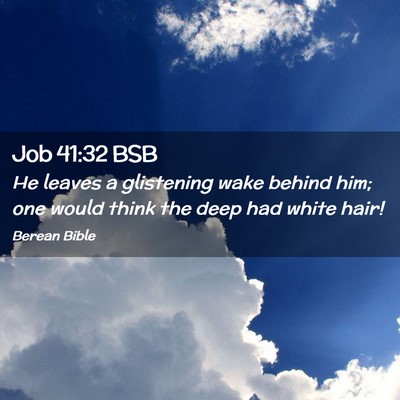 Picture 02 - Job 41:32 BSB - He leaves a glistening wake behind him; one would - Bible Verse Picture