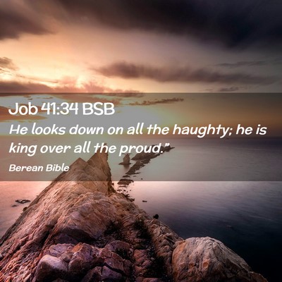 Picture 02 - Job 41:34 BSB - He looks down on all the haughty; he is king over - Bible Verse Picture