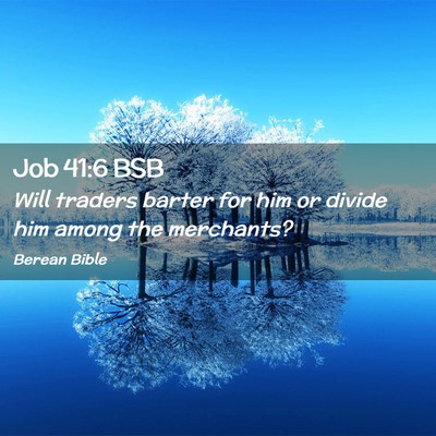 Picture 02 - Job 41:6 BSB - Will traders barter for him or divide him among - Bible Verse Picture
