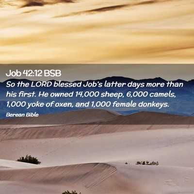 Picture 02 - Job 42:12 BSB - So the LORD blessed Job’s latter days more than - Bible Verse Picture