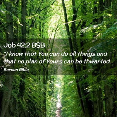 Picture 02 - Job 42:2 BSB - “I know that You can do all things and that no - Bible Verse Picture