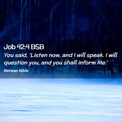 Picture 02 - Job 42:4 BSB - You said, ‘Listen now, and I will speak. I will - Bible Verse Picture