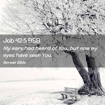 Picture 02 - Job 42:5 BSB - My ears had heard of You, but now my eyes have - Bible Verse Picture