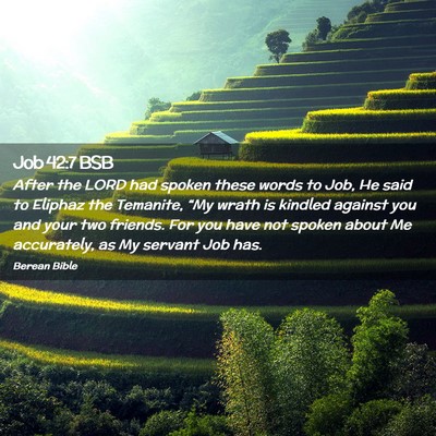 Picture 02 - Job 42:7 BSB - After the LORD had spoken these words to Job, He - Bible Verse Picture