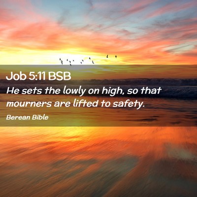Picture 02 - Job 5:11 BSB - He sets the lowly on high, so that mourners are - Bible Verse Picture