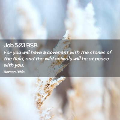 Picture 02 - Job 5:23 BSB - For you will have a covenant with the stones of - Bible Verse Picture