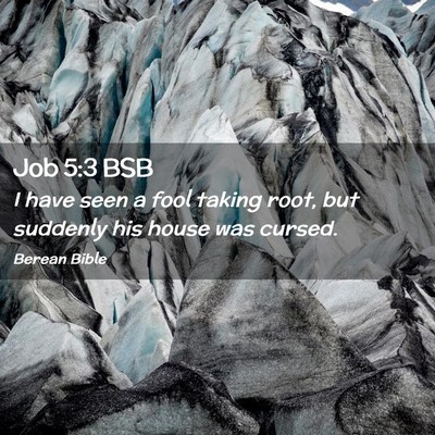 Picture 02 - Job 5:3 BSB - I have seen a fool taking root, but suddenly his - Bible Verse Picture