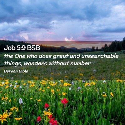 Picture 02 - Job 5:9 BSB - the One who does great and unsearchable things, - Bible Verse Picture