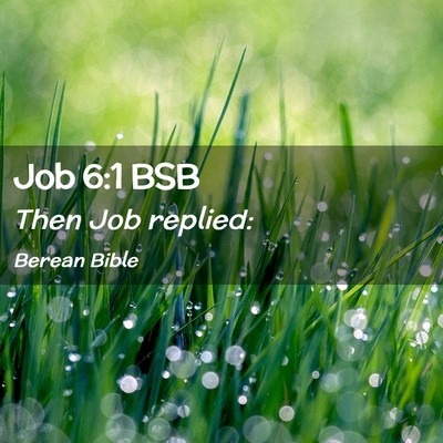 Picture 02 - Job 6:1 BSB - Then Job - Bible Verse Picture
