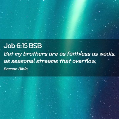 Picture 02 - Job 6:15 BSB - But my brothers are as faithless as wadis, as - Bible Verse Picture