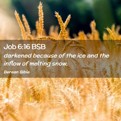 Picture 02 - Job 6:16 BSB - darkened because of the ice and the inflow of - Bible Verse Picture