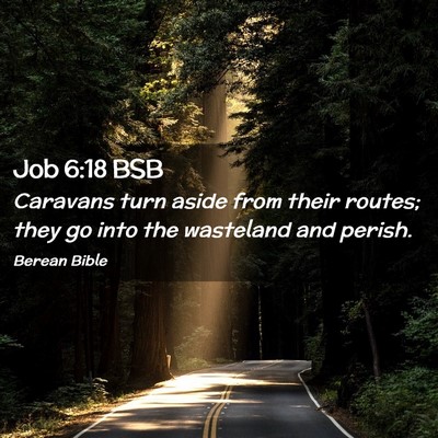 Picture 02 - Job 6:18 BSB - Caravans turn aside from their routes; they go - Bible Verse Picture
