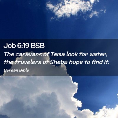 Picture 02 - Job 6:19 BSB - The caravans of Tema look for water; the - Bible Verse Picture