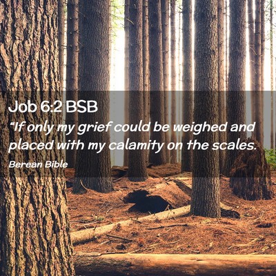 Picture 02 - Job 6:2 BSB - “If only my grief could be weighed and placed - Bible Verse Picture