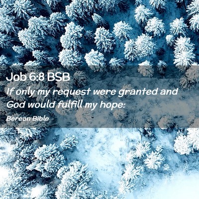 Picture 02 - Job 6:8 BSB - If only my request were granted and God would - Bible Verse Picture