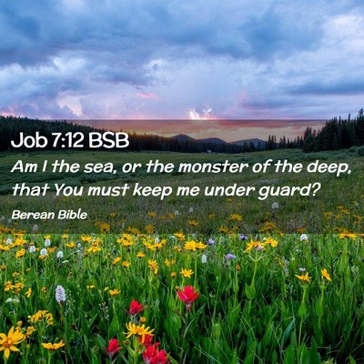 Picture 02 - Job 7:12 BSB - Am I the sea, or the monster of the deep, that - Bible Verse Picture