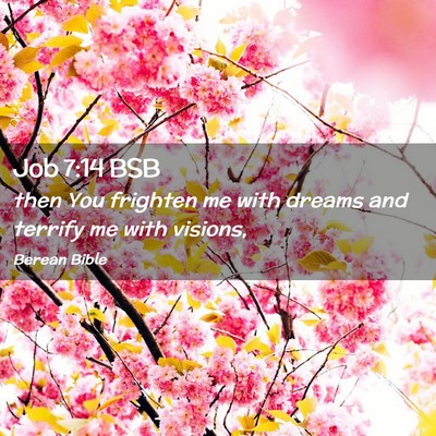 Picture 02 - Job 7:14 BSB - then You frighten me with dreams and terrify me - Bible Verse Picture