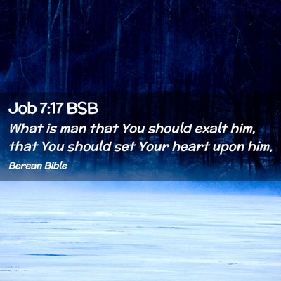 Picture 02 - Job 7:17 BSB - What is man that You should exalt him, that You - Bible Verse Picture
