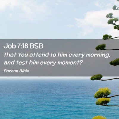 Picture 02 - Job 7:18 BSB - that You attend to him every morning, and test - Bible Verse Picture