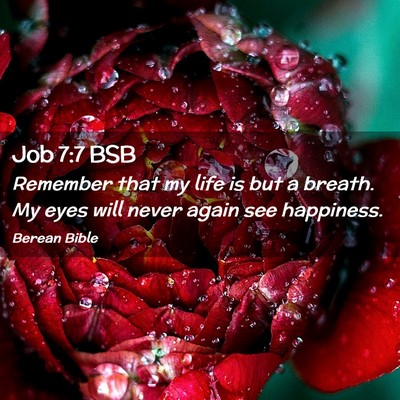 Picture 02 - Job 7:7 BSB - Remember that my life is but a breath. My eyes - Bible Verse Picture
