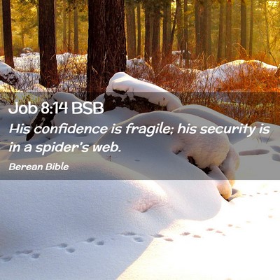 Picture 02 - Job 8:14 BSB - His confidence is fragile; his security is in a - Bible Verse Picture