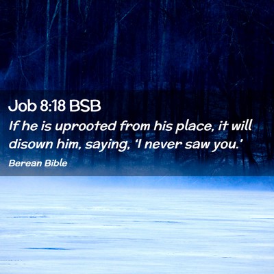 Picture 02 - Job 8:18 BSB - If he is uprooted from his place, it will disown - Bible Verse Picture