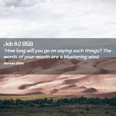 Picture 02 - Job 8:2 BSB - “How long will you go on saying such things? - Bible Verse Picture