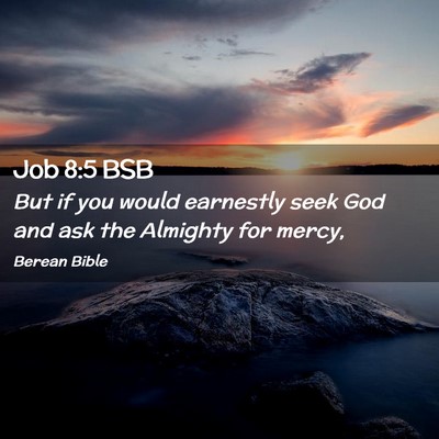 Picture 02 - Job 8:5 BSB - But if you would earnestly seek God and ask the - Bible Verse Picture