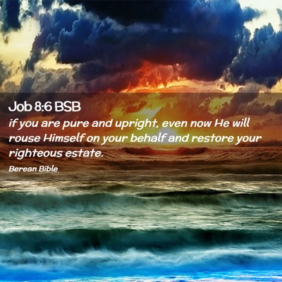 Picture 02 - Job 8:6 BSB - if you are pure and upright, even now He will - Bible Verse Picture
