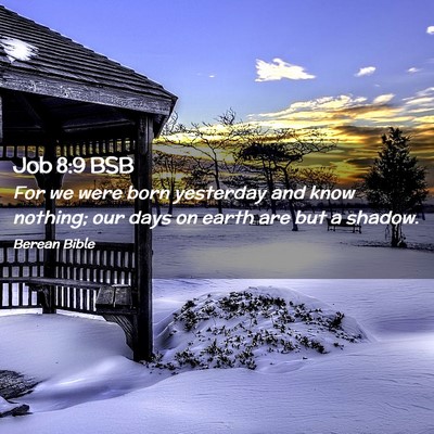 Picture 02 - Job 8:9 BSB - For we were born yesterday and know nothing; our - Bible Verse Picture