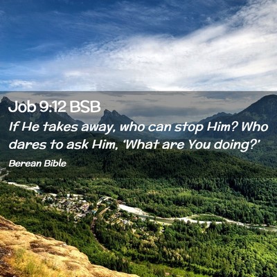 Picture 02 - Job 9:12 BSB - If He takes away, who can stop Him? Who dares to - Bible Verse Picture