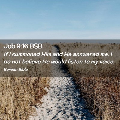 Picture 02 - Job 9:16 BSB - If I summoned Him and He answered me, I do not - Bible Verse Picture