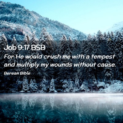 Picture 02 - Job 9:17 BSB - For He would crush me with a tempest and multiply - Bible Verse Picture