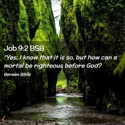Picture 02 - Job 9:2 BSB - “Yes, I know that it is so, but how can a - Bible Verse Picture
