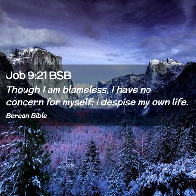 Picture 02 - Job 9:21 BSB - Though I am blameless, I have no concern for - Bible Verse Picture