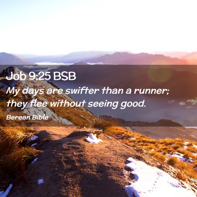 Picture 02 - Job 9:25 BSB - My days are swifter than a runner; they flee - Bible Verse Picture