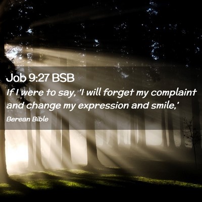 Picture 02 - Job 9:27 BSB - If I were to say, ‘I will forget my complaint - Bible Verse Picture